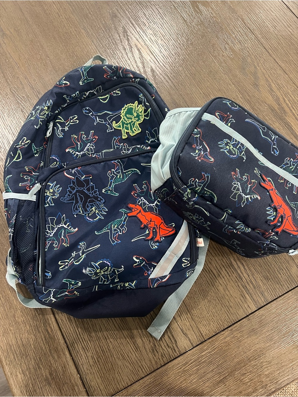 Dinosaur bookbag